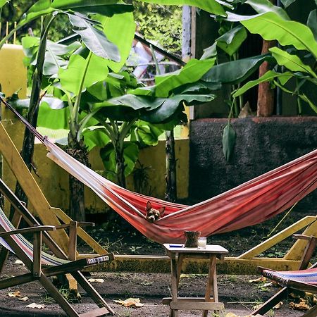 مويوجالبا Hostel Life Is Good المظهر الخارجي الصورة